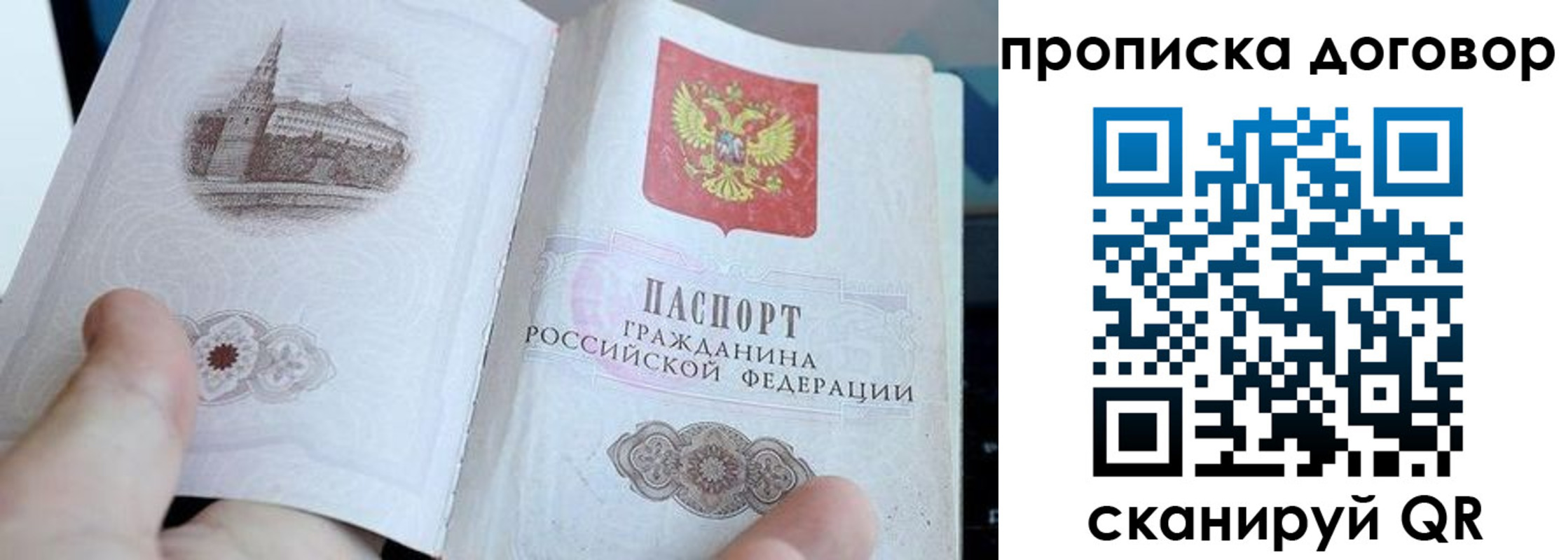 прописка в Вольске